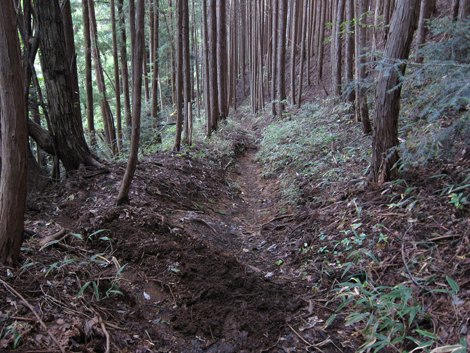 20191031hike (341)